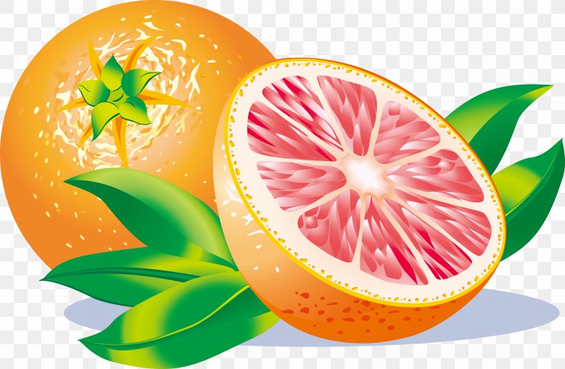 Grapefruit Juice Sour Grapefruit Juice Lemon, PNG, 8584x5612px, Juice, Citric Acid, Citrus, Diet Food, Drawing Download Free