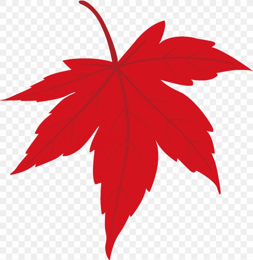 Maple Leaf Fallen Leaf Dead Leaf, PNG, 1000x1026px, Maple Leaf, Autumn Leaf, Dead Leaf, Fallen Leaf, Flower Download Free