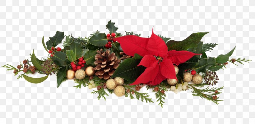Poinsettia Decorative Arts Christmas Decoration, PNG, 1000x488px, Poinsettia, Christmas, Christmas Decoration, Christmas Ornament, Conifer Cone Download Free