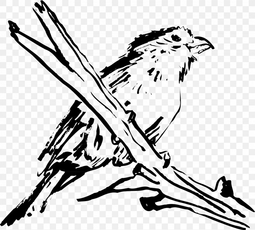 Bird Feather Wing Hawk Clip Art, PNG, 1920x1737px, Bird, Art, Artwork, Beak, Bird Of Prey Download Free