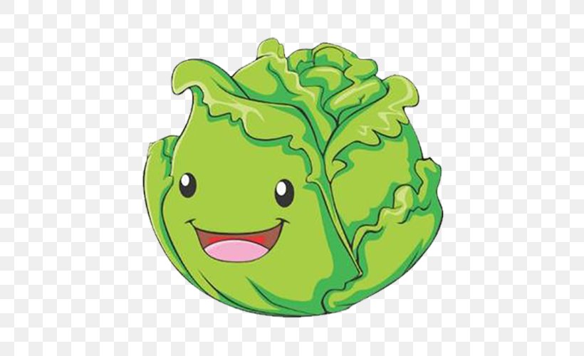 Cabbage Cartoon Vegetable Illustration, PNG, 558x500px, Cabbage, Amphibian, Cartoon, Drawing, Fictional Character Download Free