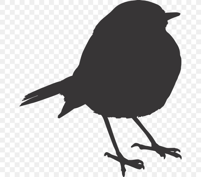 European Robin Bird Sparrow Clip Art, PNG, 662x720px, European Robin, American Robin, Beak, Bird, Black And White Download Free