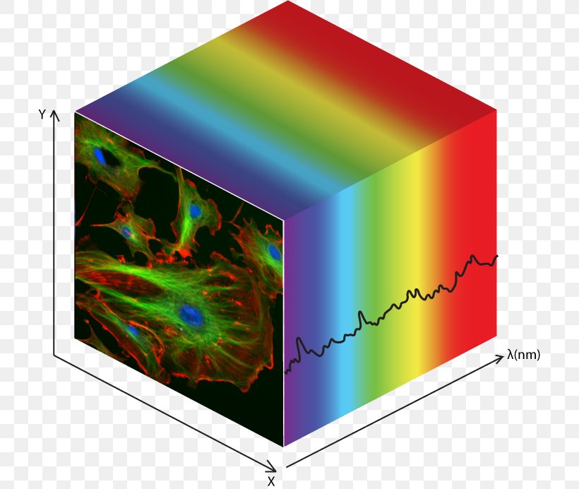 Hyperspectral Imaging Data Cube Photon Etc. Market Analysis Multispectral Image, PNG, 712x692px, Hyperspectral Imaging, Cube, Data Cube, Imagerie, Industry Download Free