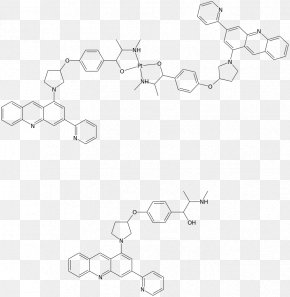 Anti-cancer - Angle White Point PNG