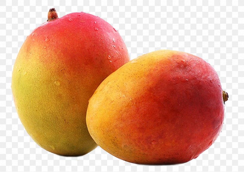 Mango Fruit Alphonso Ripening, PNG, 1748x1240px, Juice, Alphonso, Apple, Dasheri, Dessert Download Free