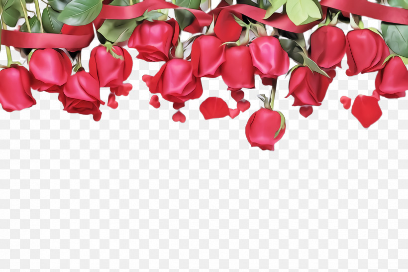 Petal Flower Red Pink Plant, PNG, 2448x1632px, Petal, Cut Flowers, Flower, Leaf, Magenta Download Free
