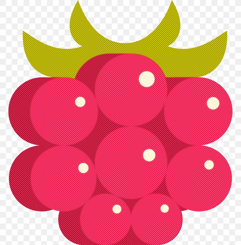 Pink Red Magenta Fruit Circle, PNG, 763x833px, Pink, Fruit, Grape, Magenta, Plant Download Free