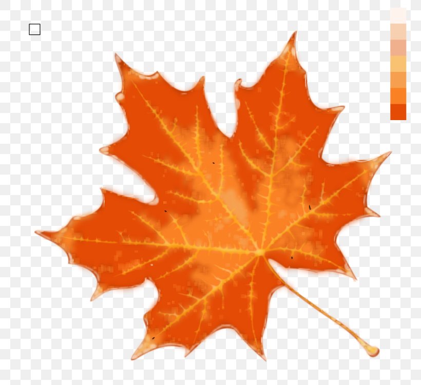 Stock Photography Maple Leaf Royalty-free IStock Autumn Leaf Color, PNG, 800x750px, Stock Photography, Autumn, Autumn Leaf Color, Color, Istock Download Free