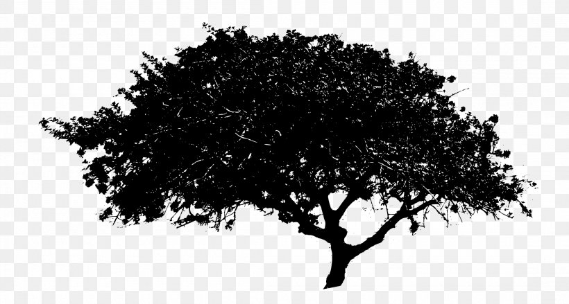 Tree Clip Art, PNG, 2200x1179px, Tree, Black And White, Branch, Display Resolution, Monochrome Download Free