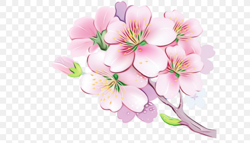Cherry Blossom, PNG, 600x469px, Watercolor, Blossom, Bouquet, Branch, Cherry Blossom Download Free
