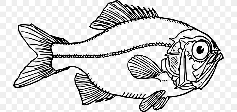 Fish Line Art Clip Art, PNG, 728x388px, Fish, Art, Artwork, Black And White, Drawing Download Free