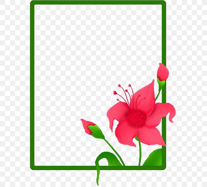 Floral Design Cut Flowers Plant Stem, PNG, 583x741px, Floral Design, Botany, Cut Flowers, Flower, Flowering Plant Download Free