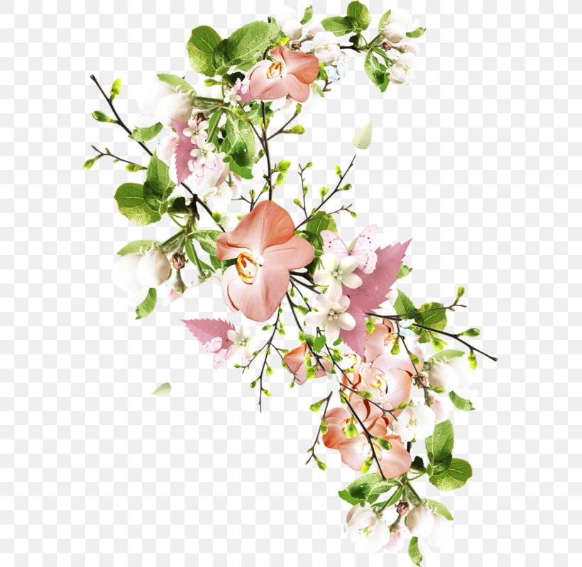 Flower Clip Art, PNG, 585x800px, Flower, Artificial Flower, Blossom, Branch, Cut Flowers Download Free