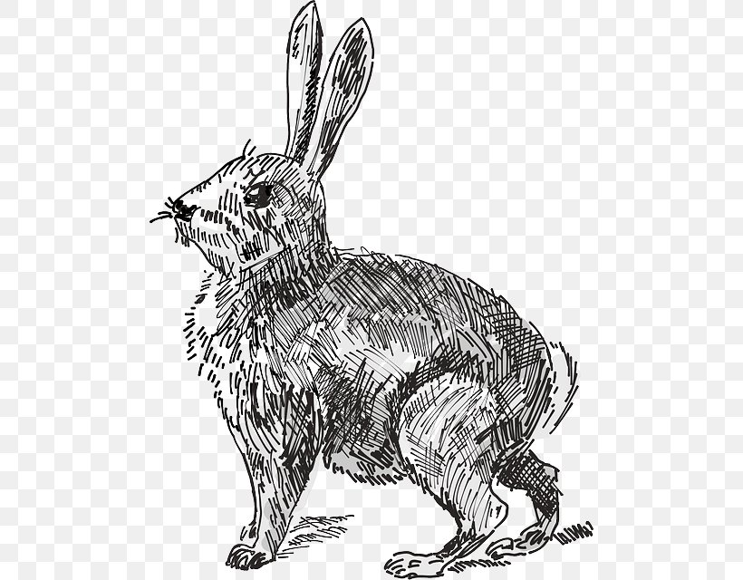 Hare White Rabbit The Velveteen Rabbit Clip Art, PNG, 490x640px, Hare, Animal Figure, Art, Black And White, Carnivoran Download Free