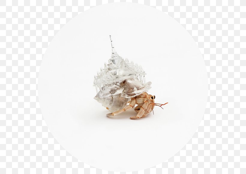 Hermit Crab Art Seashell, PNG, 580x580px, 3d Printing, Crab, Architecture, Art, Artist Download Free