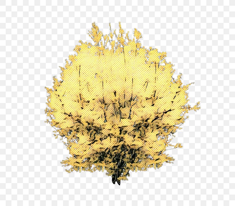 Yellow Tree, PNG, 636x720px, Yellow, Flower, Grass, Leaf, Plant Download Free