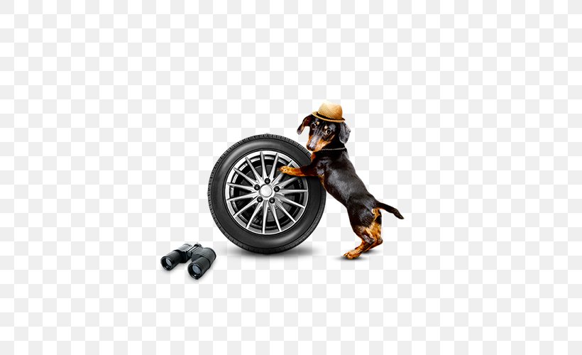 Download, PNG, 500x500px, Circus, Acrobatics, Automotive Tire, Automotive Wheel System, Dj Spinall Download Free