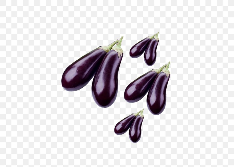Eggplant Fruit Vegetable Solanum Aethiopicum, PNG, 520x587px, Eggplant, Fruit, Lilac, Purple, Vegetable Download Free