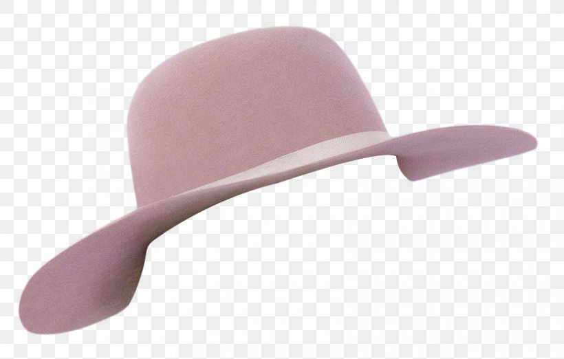 Joanne Hat Just Another Day Album Cap, PNG, 830x529px, Joanne, Album, Cap, Hat, Headgear Download Free