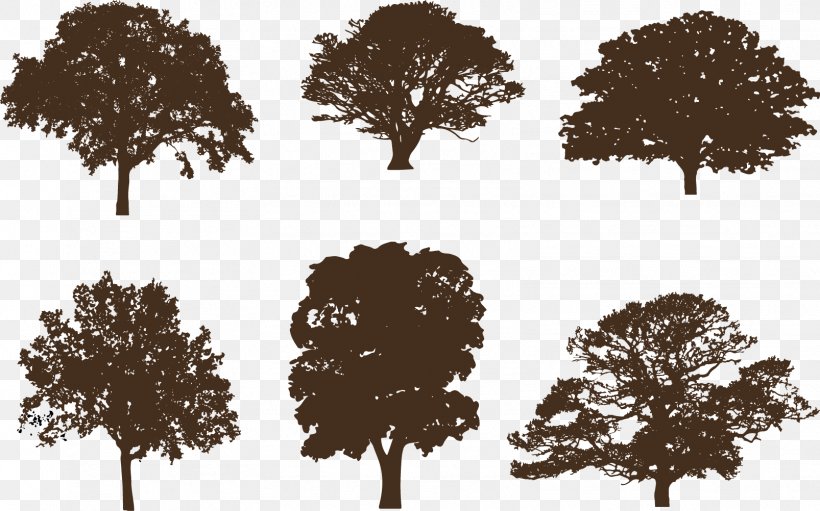 Oak Silhouette Clip Art Vector Graphics Tree, PNG, 1606x1002px, Oak, Acorn, Branch, Leaf, Plant Download Free