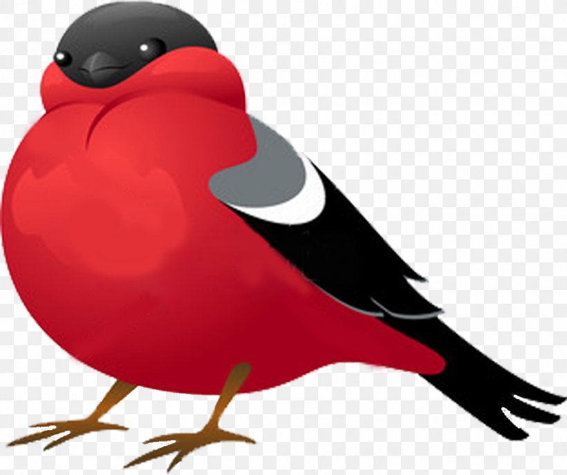 Clip Art Vector Graphics Stock Photography Illustration Shutterstock, PNG, 959x805px, Stock Photography, Beak, Bird, Cardinal, Eurasian Bullfinch Download Free