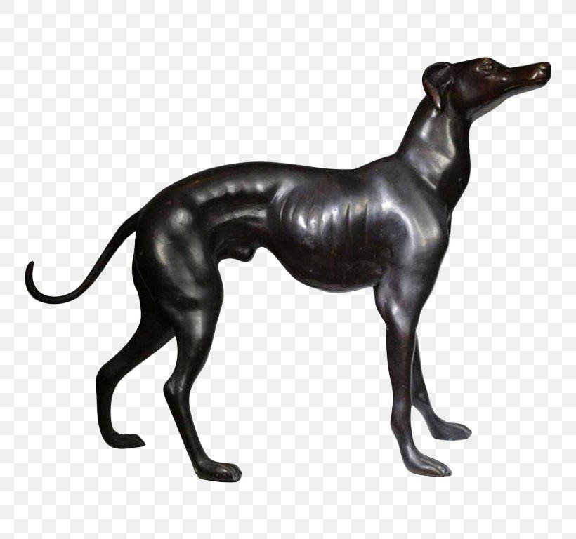 Italian Greyhound Spanish Greyhound Sloughi Whippet, PNG, 768x768px, Italian Greyhound, Breed, Carnivoran, Dog, Dog Breed Download Free