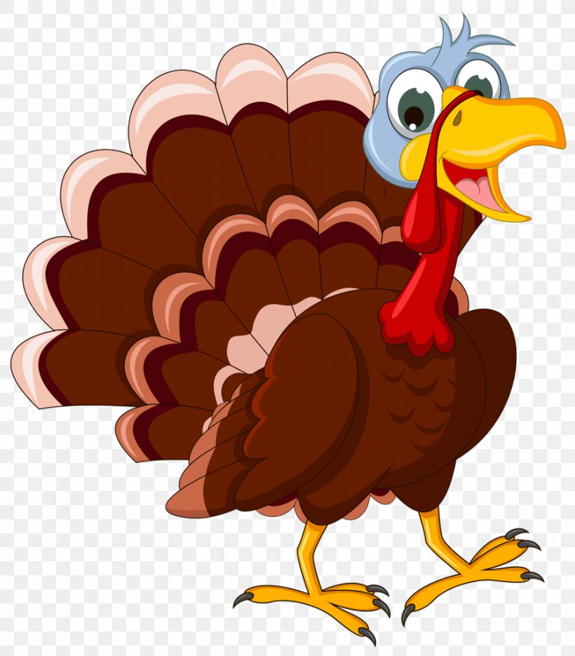 Thanksgiving Clip Art, PNG, 898x1024px, Thanksgiving, Beak, Bird, Cartoon, Chicken Download Free