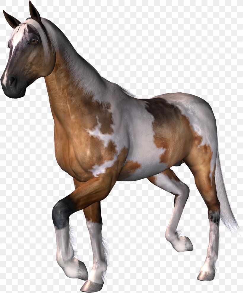Mustang Stallion Foal Pack Animal Clip Art, PNG, 1700x2047px, Mustang, Animal, Bit, Colt, Equus Download Free