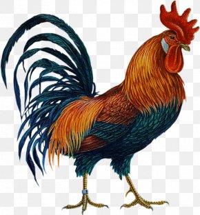 Red Rooster Images Red Rooster Transparent Png Free Download