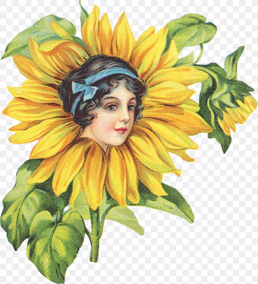 Common Sunflower Drawing Painting Decoupage Clip Art, PNG, 961x1061px, Common Sunflower, Art, Artist, Cut Flowers, Daisy Family Download Free