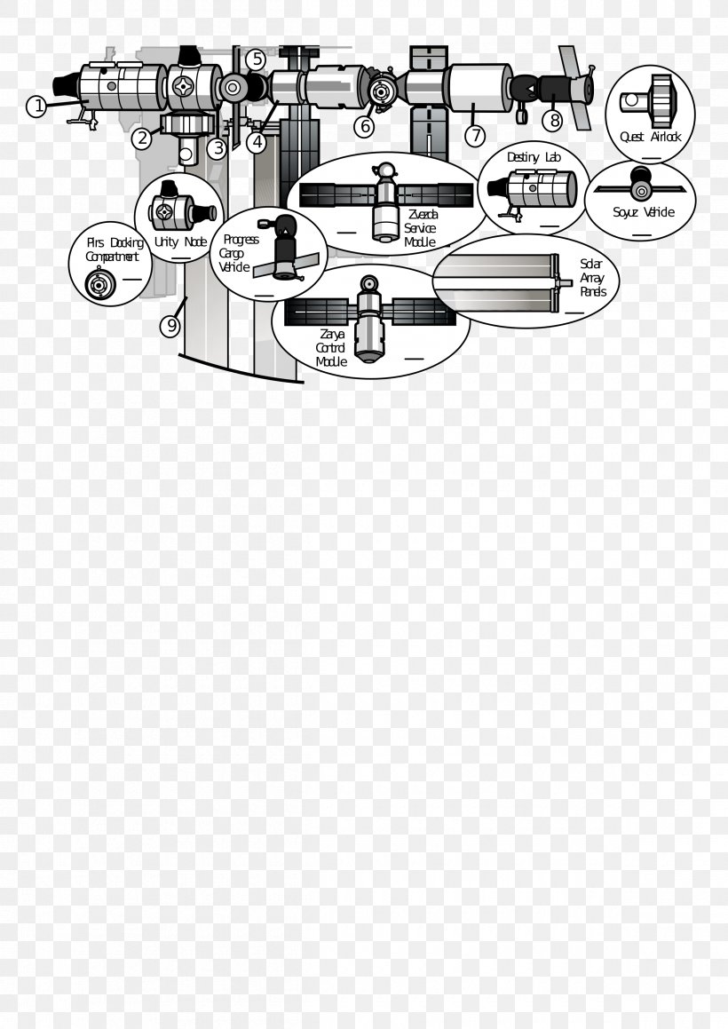 Clip Art, PNG, 2400x3394px, Diagram, Black And White, Cartoon, Data, Drawing Download Free