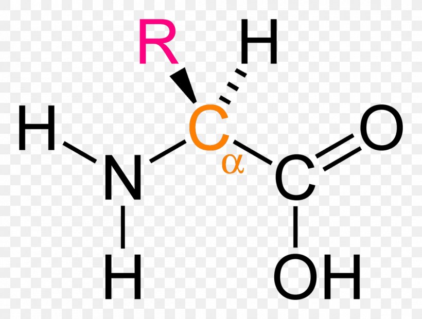 Dietary Supplement Acetylcysteine Acetyl Group Antioxidant, PNG, 1100x833px, Dietary Supplement, Acetaminophen, Acetyl Group, Acetylcysteine, Antioxidant Download Free