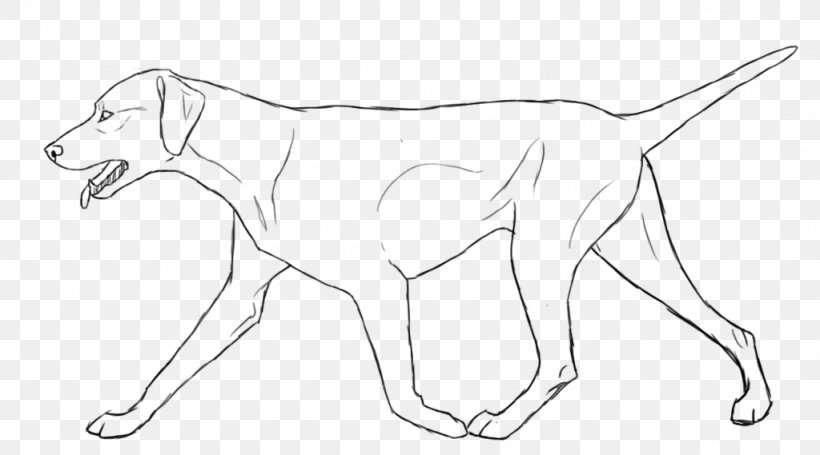 Dog Breed Line Art Drawing White, PNG, 1024x569px, Dog Breed, Animal, Animal Figure, Artwork, Black And White Download Free