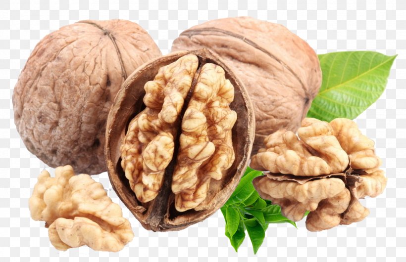 English Walnut Omega-3 Fatty Acid Calorie Almond, PNG, 1024x663px, Nut, Almond, Calorie, Carbohydrate, Colza Oil Download Free