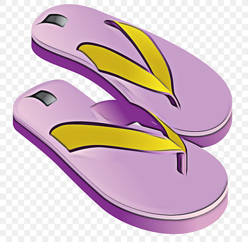 Flip-flops Slipper T-shirt Shoe Sandal, PNG, 800x800px, Flipflops, Adidas Sandals, Flip Flop Beach, Flip Flops Pink, Flower Flip Flops Download Free