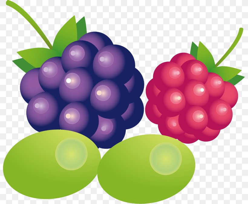 Grape, PNG, 800x673px, Grape, Berry, Computer Graphics, Food, Fruit Download Free
