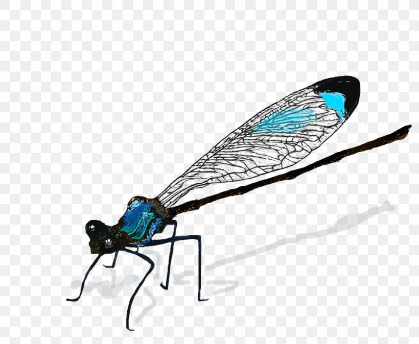 Insect Dragonfly Drawing Damselfly, PNG, 968x796px, Insect, Animal, Animation, Arthropod, Blackbearded Flying Fox Download Free