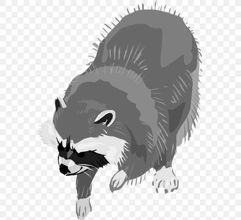 Raccoon Clip Art, PNG, 563x750px, Raccoon, Animal, Beak, Black And White, Carnivoran Download Free