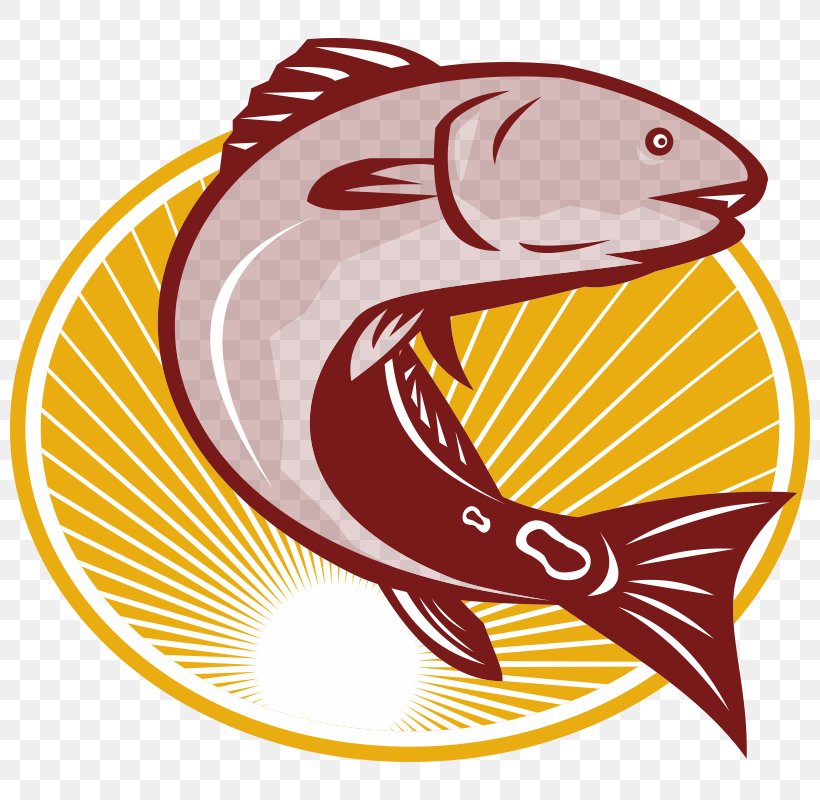 Red Drum Clip Art, PNG, 800x800px, Red Drum, Art, Bass, Can Stock Photo, Drawing Download Free