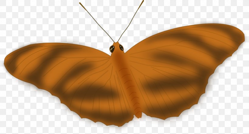 Monarch Butterfly Clip Art Insect Vector Graphics, PNG, 900x487px, Butterfly, Arthropod, Brush Footed Butterfly, Butterflies And Moths, Drawing Download Free