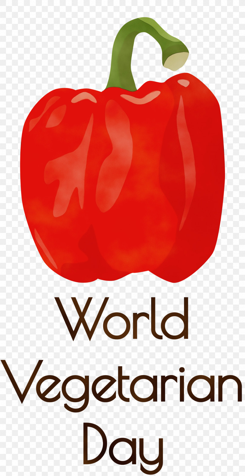 Bell Pepper Habanero Chili Pepper Paprika, PNG, 1543x3000px, World Vegetarian Day, Bell Pepper, Chili Pepper, Habanero, Local Food Download Free