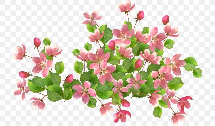 Flower Basket Clip Art, PNG, 723x479px, Flower, Basket, Blossom, Branch, Cherry Blossom Download Free