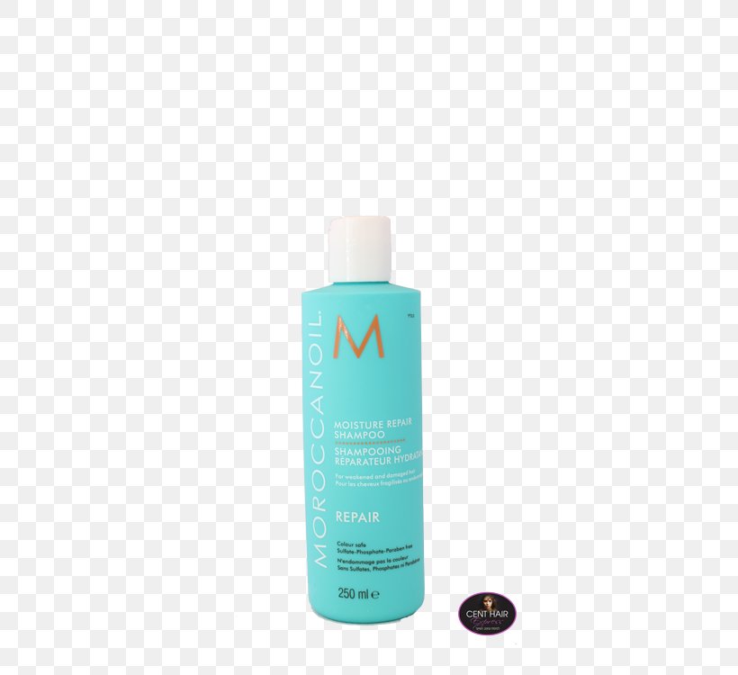 Lotion Shampoo Hair Straightening Argan Oil, PNG, 500x750px, Lotion, Argan, Argan Oil, Hair, Hair Coloring Download Free