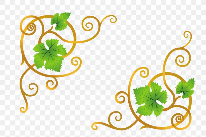 Common Grape Vine Clip Art, PNG, 4500x3000px, Grape, Body Jewelry, Common Grape Vine, Digital Image, Flora Download Free