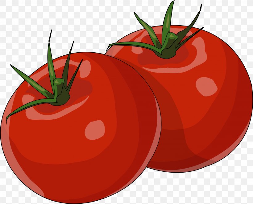 Drawing Of Family, PNG, 2966x2400px, Plum Tomato, Bush Tomato, Cherry Tomato, Cherry Tomatoes, Drawing Download Free