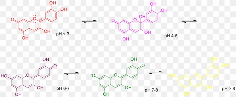 Anthocyanin Anthocyanidin PH Indicator Flavonoid, PNG, 2230x922px, Anthocyanin, Alkaloid, Anthocyanidin, Area, Chemical Compound Download Free