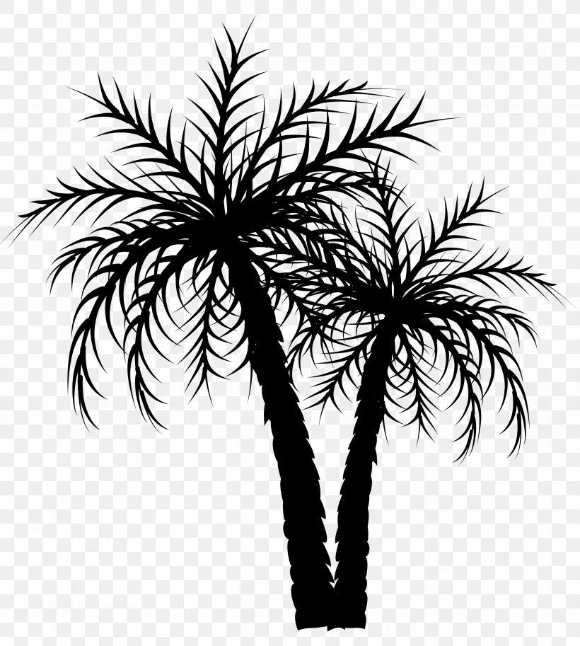 Asian Palmyra Palm Palm Trees Date Palm Coconut Image, PNG, 4991x5563px, Asian Palmyra Palm, Arecales, Attalea Speciosa, Black And White, Blackandwhite Download Free