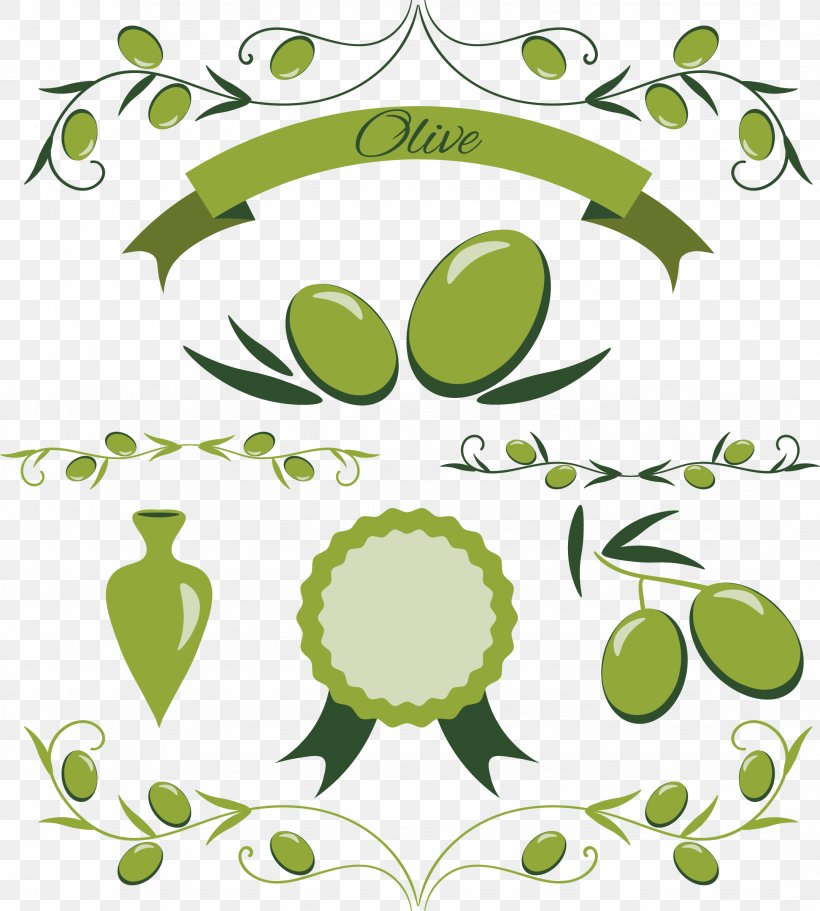 Olive Oil Euclidean Vector Olive Leaf, PNG, 2157x2397px, Olive, Flora, Floral Design, Flower, Food Download Free