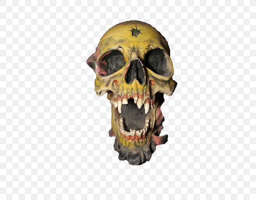 Skull Bone Skeleton Animaatio, PNG, 426x640px, Skull, Animaatio, Bone, Face, Head Download Free