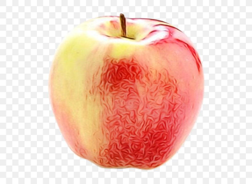 Apple Fruit Plant Food Accessory Fruit, PNG, 600x600px, Watercolor, Accessory Fruit, Apple, Food, Fruit Download Free